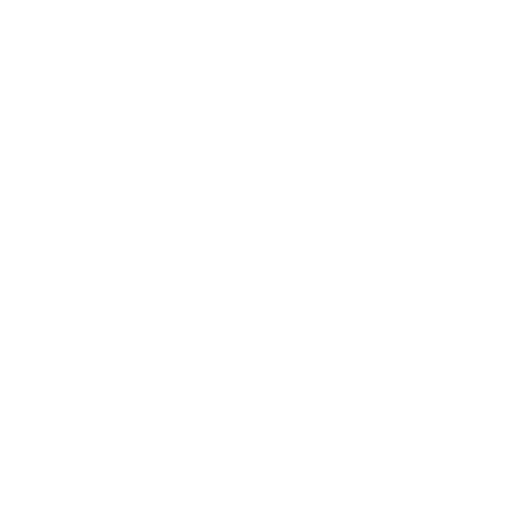 FailSafe North Texas Logo